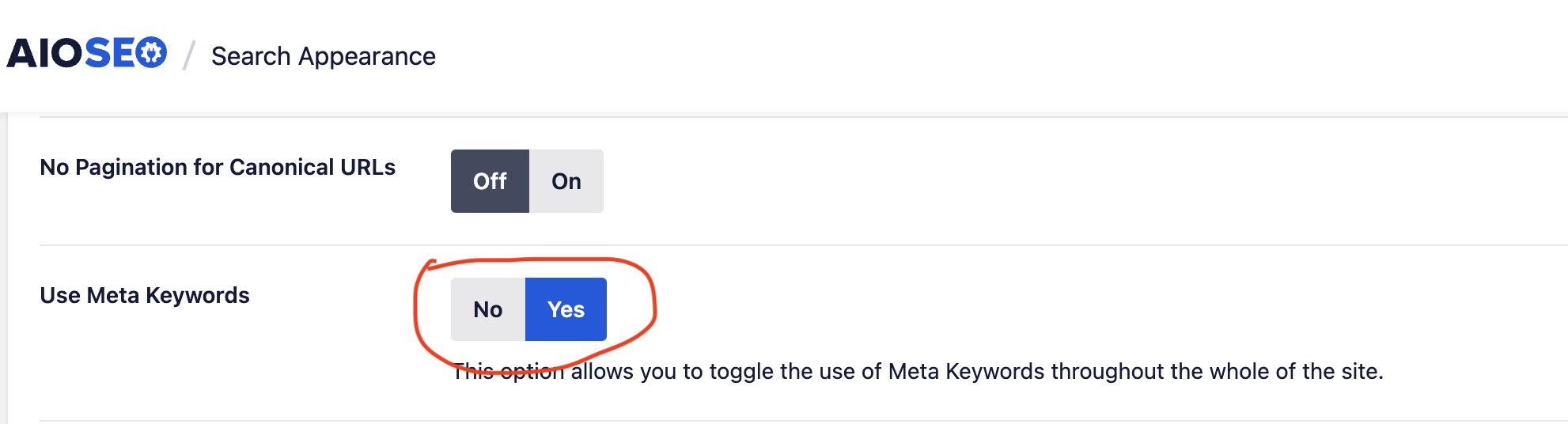 all-in-one-seo-meta-tag-settings