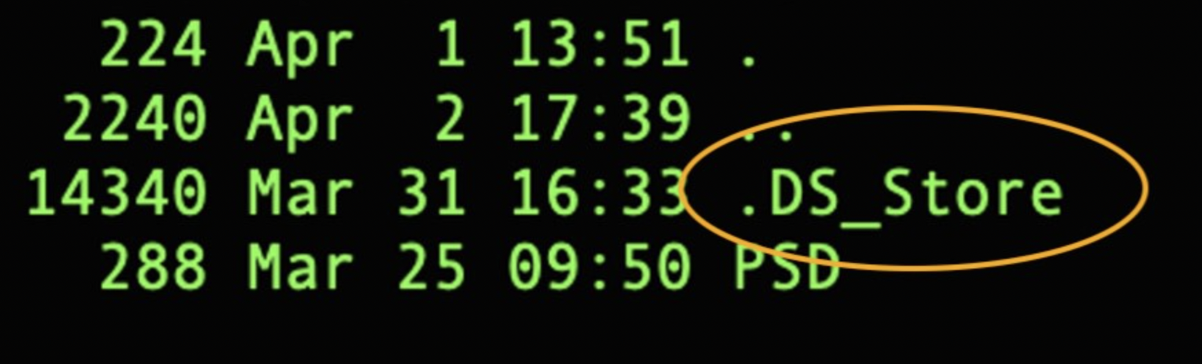 Manage .DS_Store Files on macOS